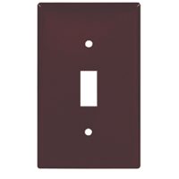 2134B-BOX 1G BR SWITCH PLATE