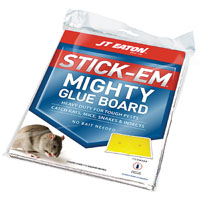 GLUE BOARD FOR RATS / MICE