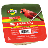 BIRD FOOD NUTTY TREAT SUET 11OZ