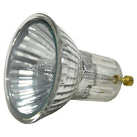 FLOODLIGHT HALOGEN PAR16 50W