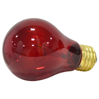 SYL-11712 BULB LT 25W RED 1/BX