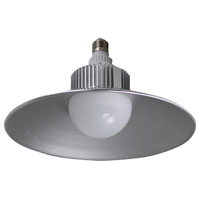 BULB LED UTILITY 1500 LUMEN