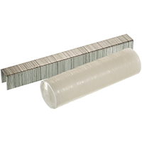 SENCO - BUTTON CAP AND STAPLE PA
