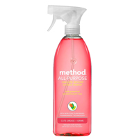 CLEANER SPRAY AP GRPFRT 28OZ
