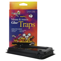 MOUSE INSECTS GLUE TRAPS