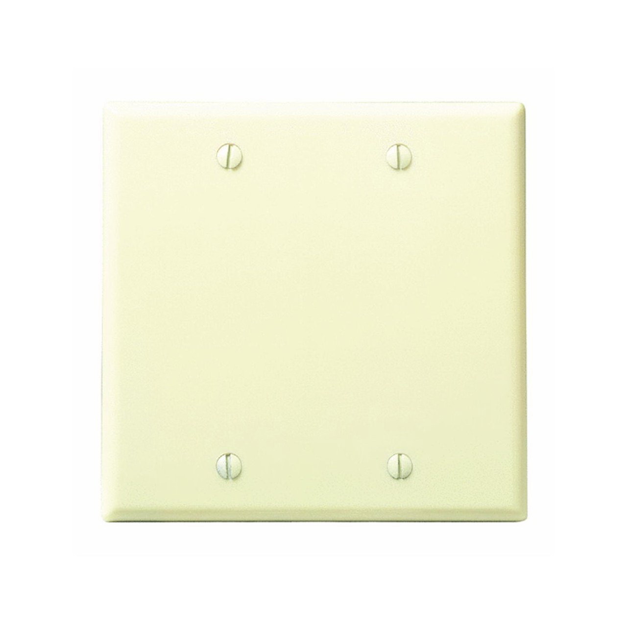 IVORY DOUBLE BLANK PLATE