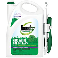 ROUNDUP LAWN WEED KILLER GAL