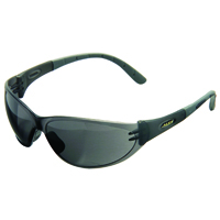 MSA-10050989 SAFETY GLASSES TINT