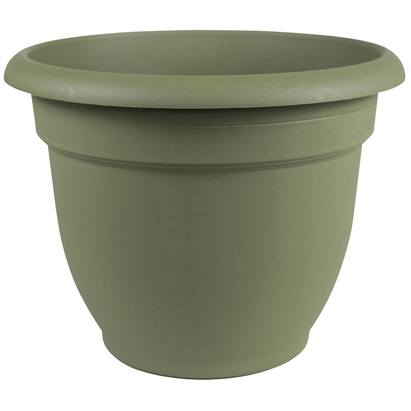 PLANTER BASIL 6IN