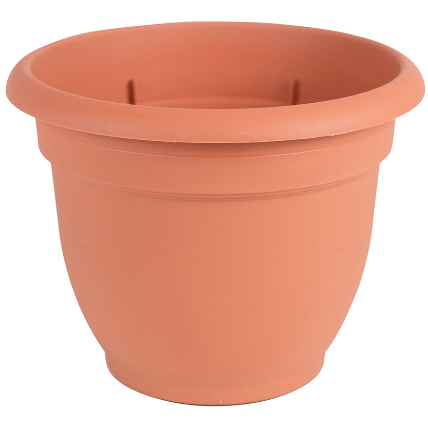 PLANTER TERRA COTTA 6IN