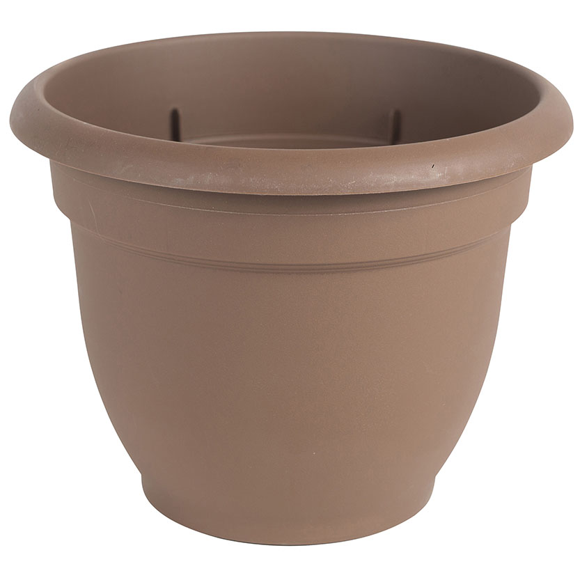 PLANTER CHOCOLATE 6IN