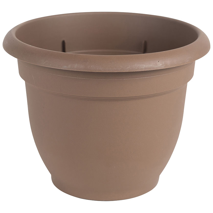 PLANTER CHOCOLATE 8IN