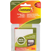 17204C MED PIC HANGING STRIPS