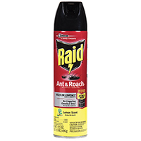 RAI-16479 ANT/ROACH KILLR 17.5OZ