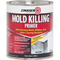 PRIMER MOLD KILLING QUART