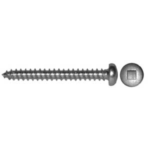 10PK   #6x1" S/S SCREWS-RND