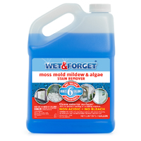 WET& FORGET 1 GALLON