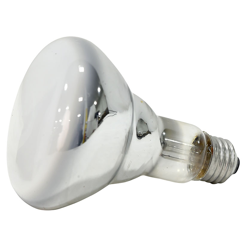 SYL-15270 LIGHT BULB 65W 120V