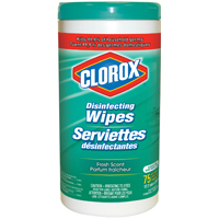 1609 DISINFECTING WIPES FRESH