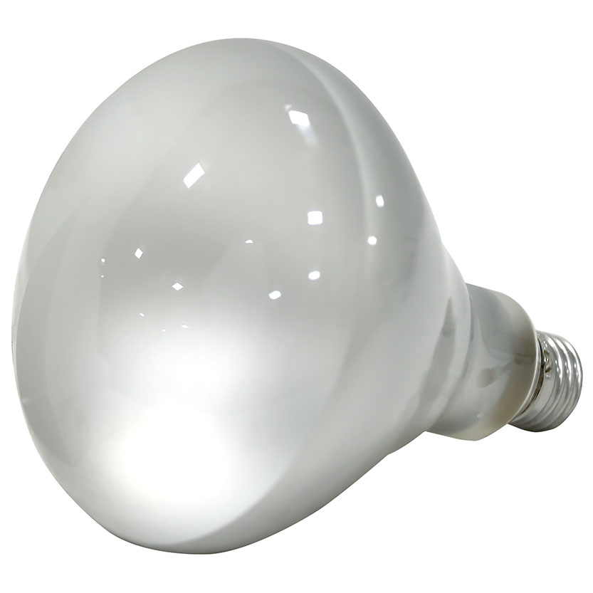 10079 50WBR40HAL/FL 50W HALGON