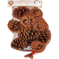 SCENTED PINE CONES CNNMN 20PC