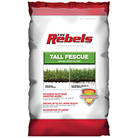 SEED TALL FESCUE MIXTURE 7LB