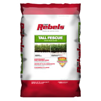 FESCUE TALL BLEND PCD 40LB