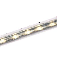 G9512-CLR-I 12' ROPELIGHT CLR