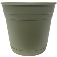 Southern Patio RR0624FE Rolled Rim Planter, 5.6 in H, Round, Plastic, Fern