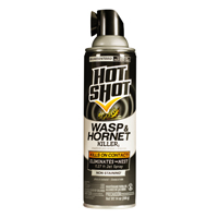 KILLER WASP/HORNET AERSOL 14OZ