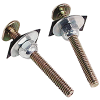 DAN-89055 BOLT NUT 5/16X2-1/4 BR