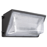 Light Wall Pk 5000k 10000l