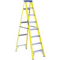 Ladder 8' Fibergl Step Type I