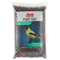 Seed Lyric Nyjer 10lb