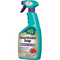 SPE-10424/X INSECTICIDAL SOAP 24