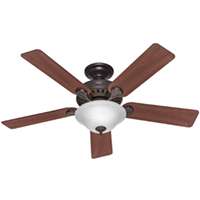 HUN-53250 52PRO'S BEST CEILING F