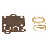CARBURETOR KIT HORIZ 2-5HP