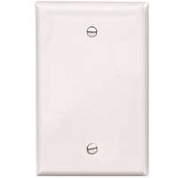 EAT-PJ13W WALL PLATE 1G BLNK WHT