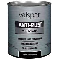 VAL-21842 ANTIRST IEALSG 1QT BLK