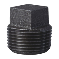 PLUG BLACK MALLEABLE 1 IN