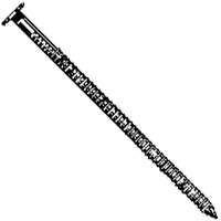 CT447A014 PTL NAIL R/S 2-1/2