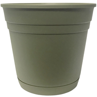 Southern Patio RR1212FE Rolled Rim Planter, 11.4 in H, Round, Plastic, Fern