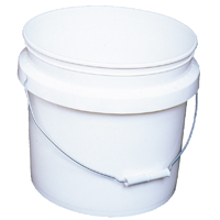 PAINT PAIL PLSTC INDSTRL 2 G