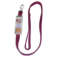 LEASH NYLON RED 5/8INX6FT