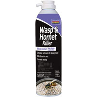 Insecticide Wasp & Hornet Spray