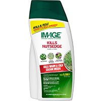 IMAGE FOR NUTSEDGE CONC 24OZ