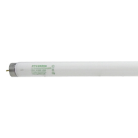 BULB FLUOR COOLWHT 48IN T8 32W