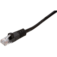 AME-PN10075EB NETWORK CABLE 7FT