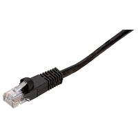 AME-PN10145EB NETWORK CABLE 14FT