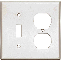 Eaton Wiring Devices 2138W-BOX Standard Combination Wallplate, 2-Gang,